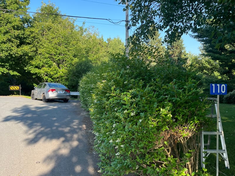 Residential lawn cut and edged in Truro