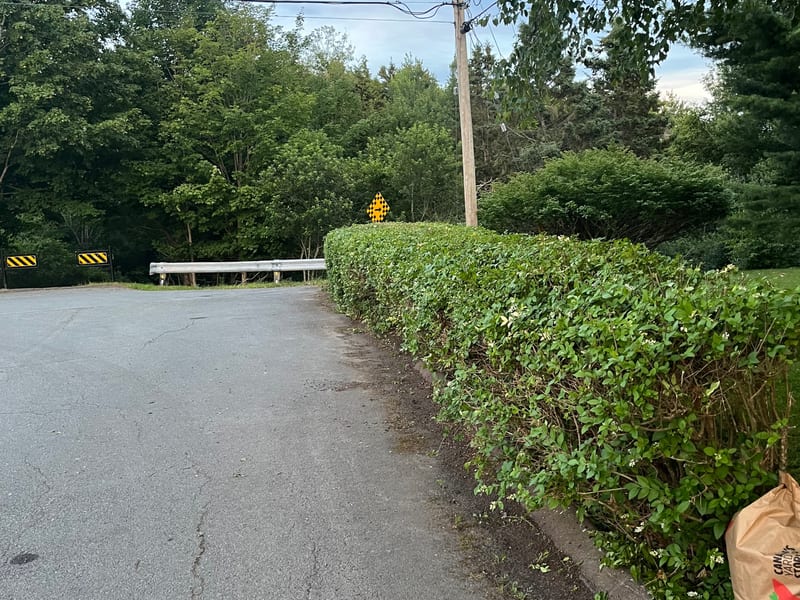 Curb appeal restored — full lawn service