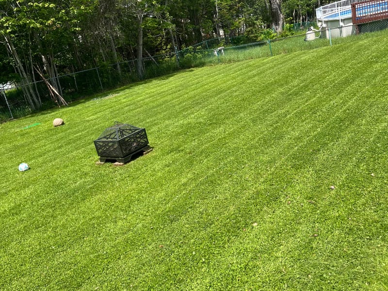 Garden and lawn maintenance completed